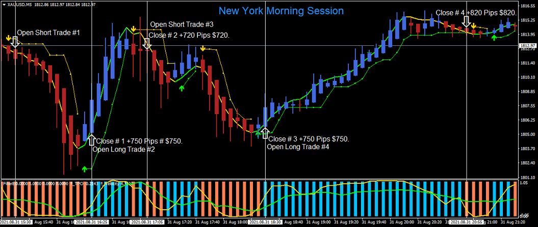 Gold Pips Trading Chart