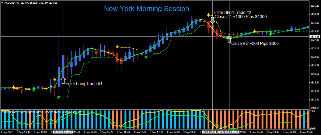 MT4 Forex Gold Chart