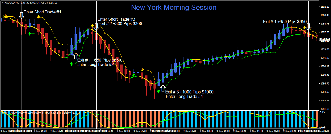 Exitin Chart of Gold Forex Trades